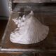 Very beautiful pinkish interior seashell.