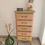 Chiffonnier vert herbarium et bois brut