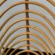 Pair of vintage Rohe Rotan chairs by H, Broekhuizen 1960