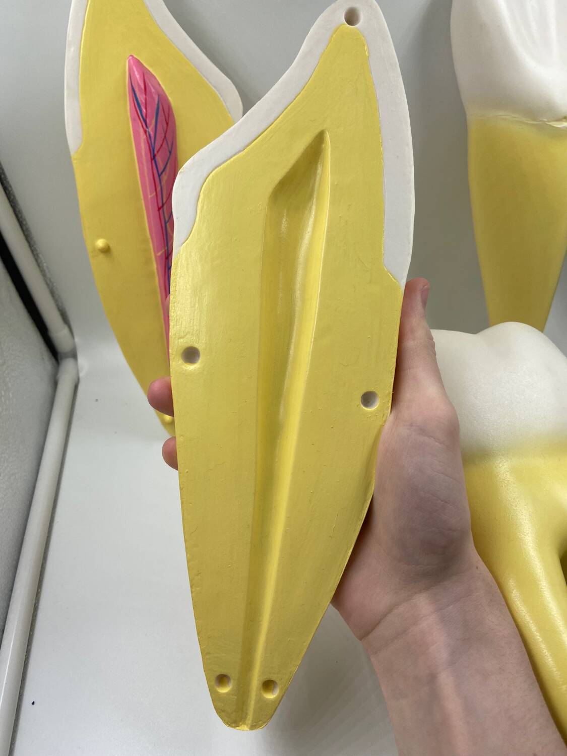 Large size dental model 3 teeth