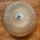 Sea urchin ceiling light