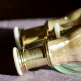 Twins Theatre / Napoleon model opera glasses in Mother-of-pearl and Golden Brass - Authentic