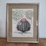 Botanical illustration