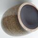 West Germany 1960 vintage vase