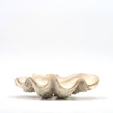 Holy water stoup shell emptier, 1970s