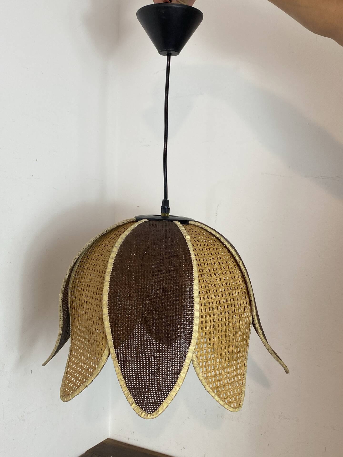 Organic rattan suspension