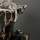 Pair of Hippolyte Moreau Art Deco spelter cat bookends