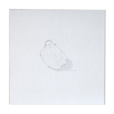 Poivron - dessin original