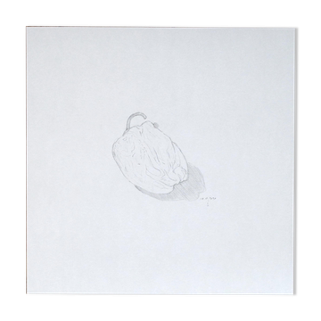 Poivron - dessin original