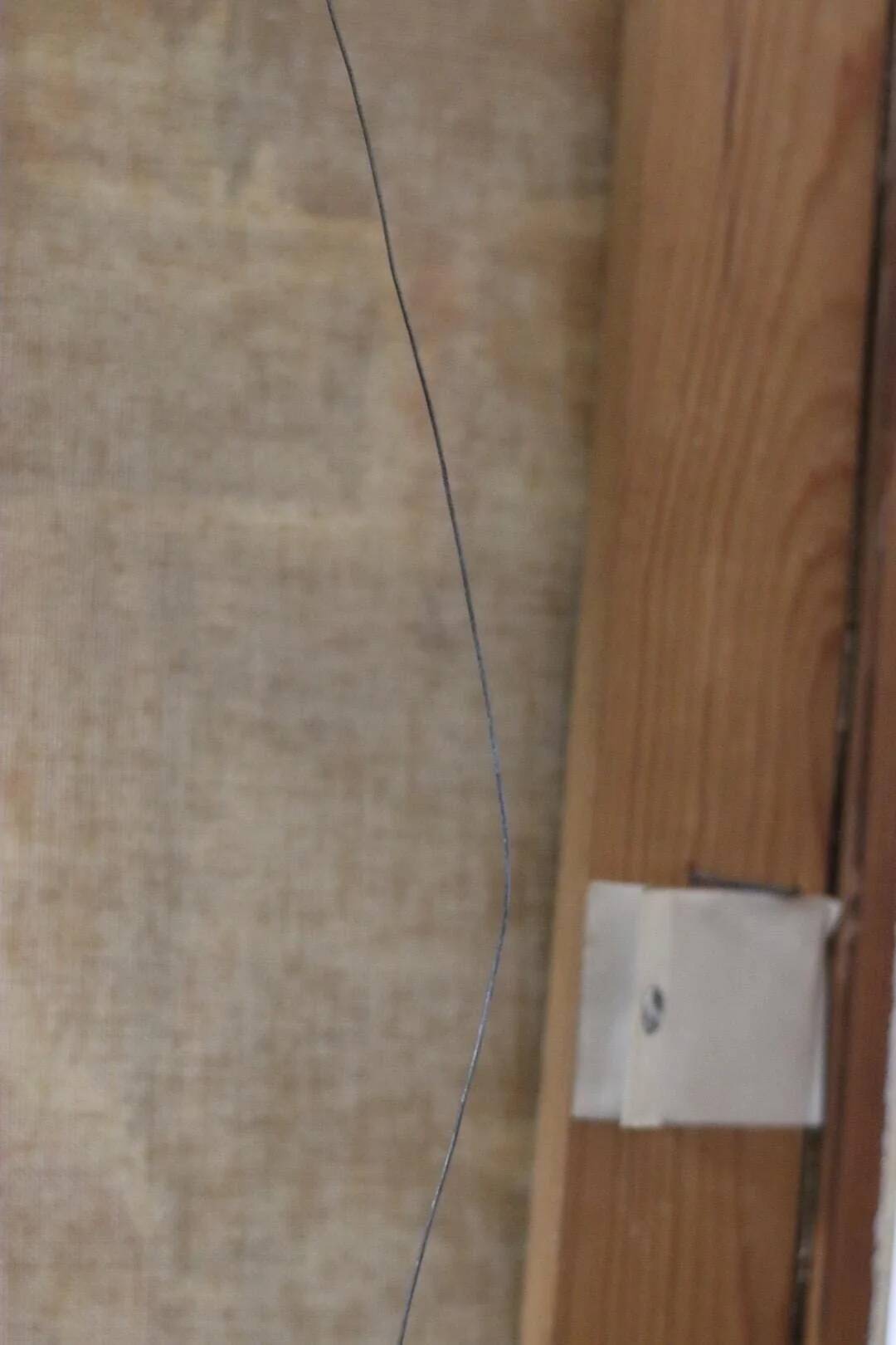 « Nature morte » de Smetana