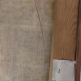 « Nature morte » de Smetana