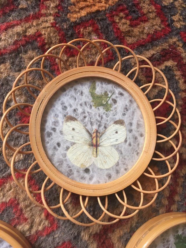 Sub-glasses assorted butterflies in rattan and bamboo .