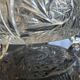 Cut glass compote on feet