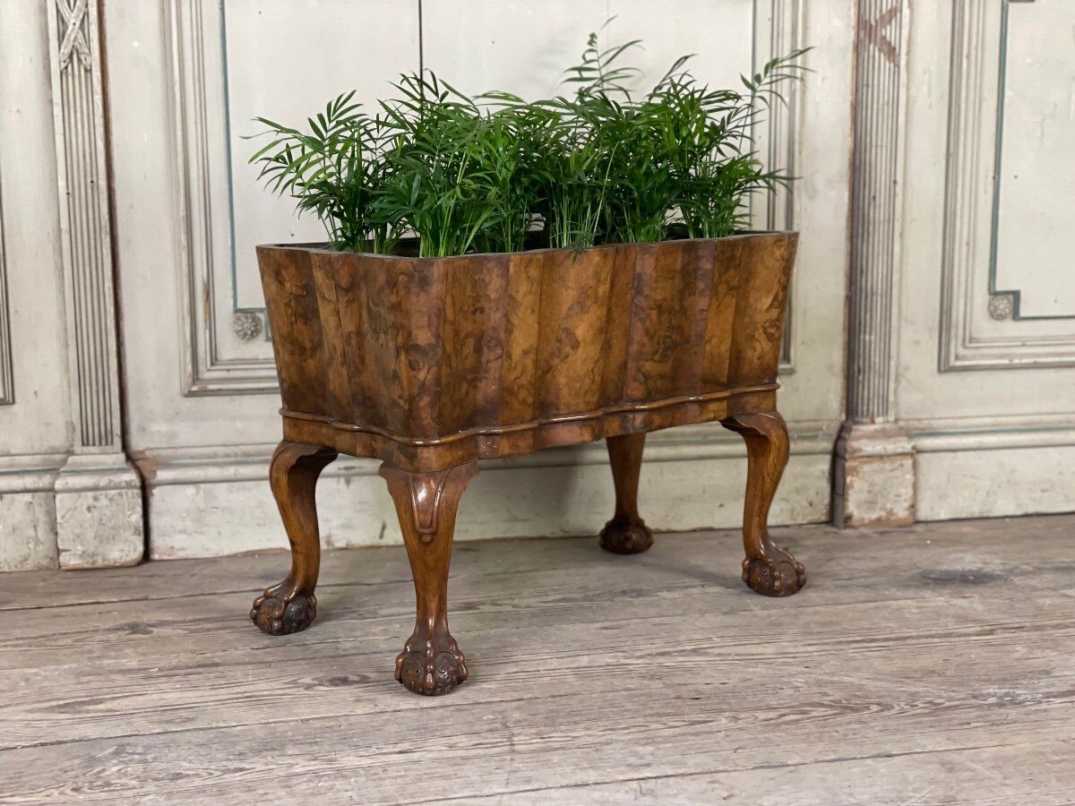 Planter in walnut, england circa 1880