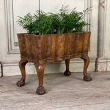 Planter in walnut, england circa 1880