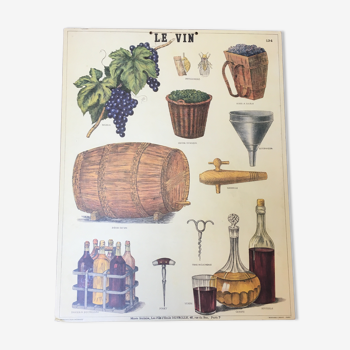 Pedagogical poster "wine" school museum of Emile Deyrolle