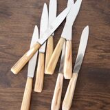Set of 8 knives with horn handle