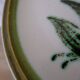 Set of 11 plates