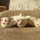 Ensemble 4 tasses et un sucrier Badonviller Floral