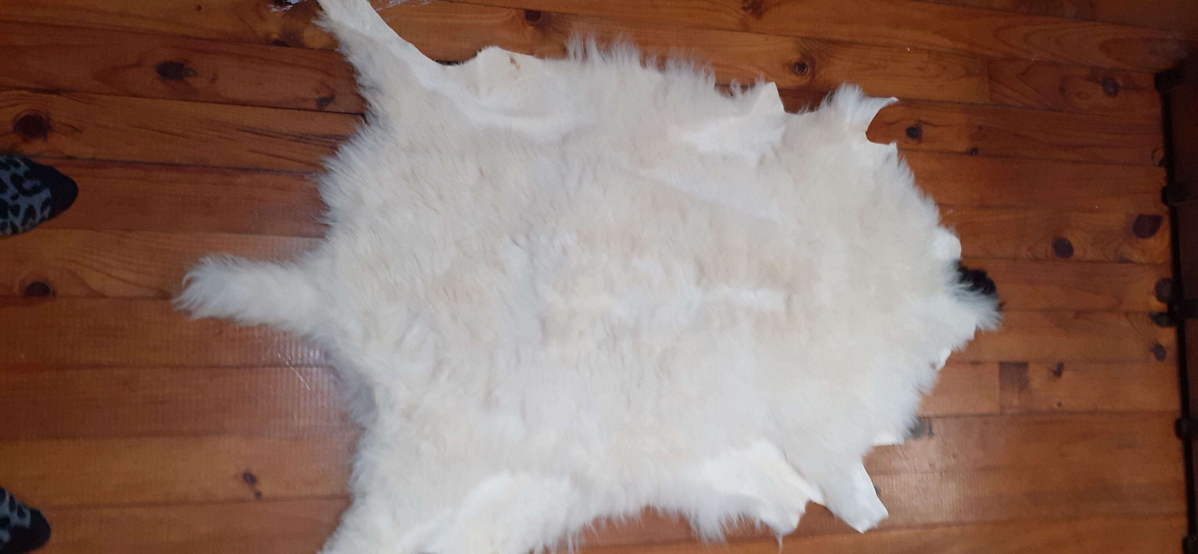 New sheepskin