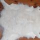 New sheepskin