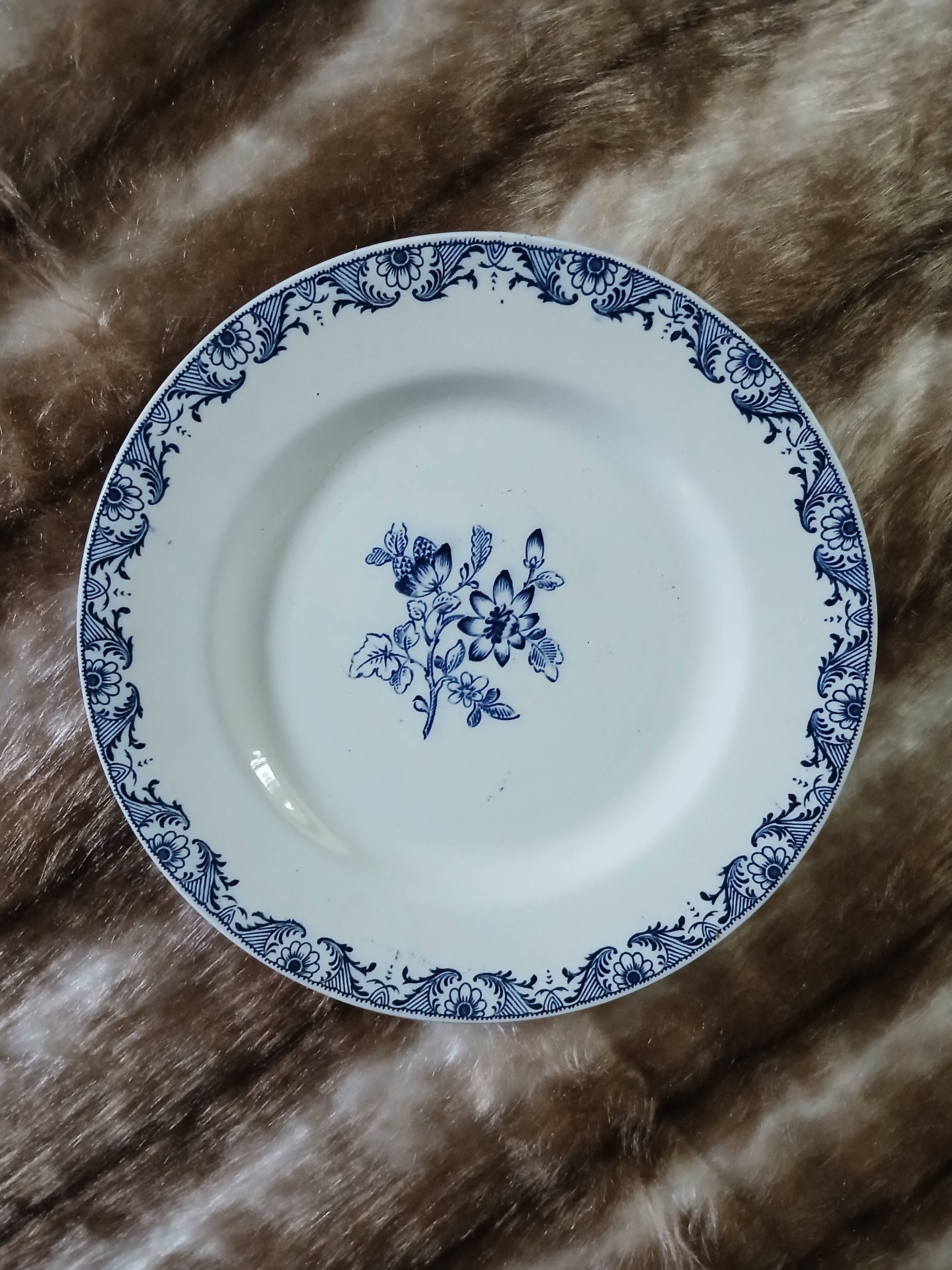 10 assiettes plates anciennes en Terre de fer