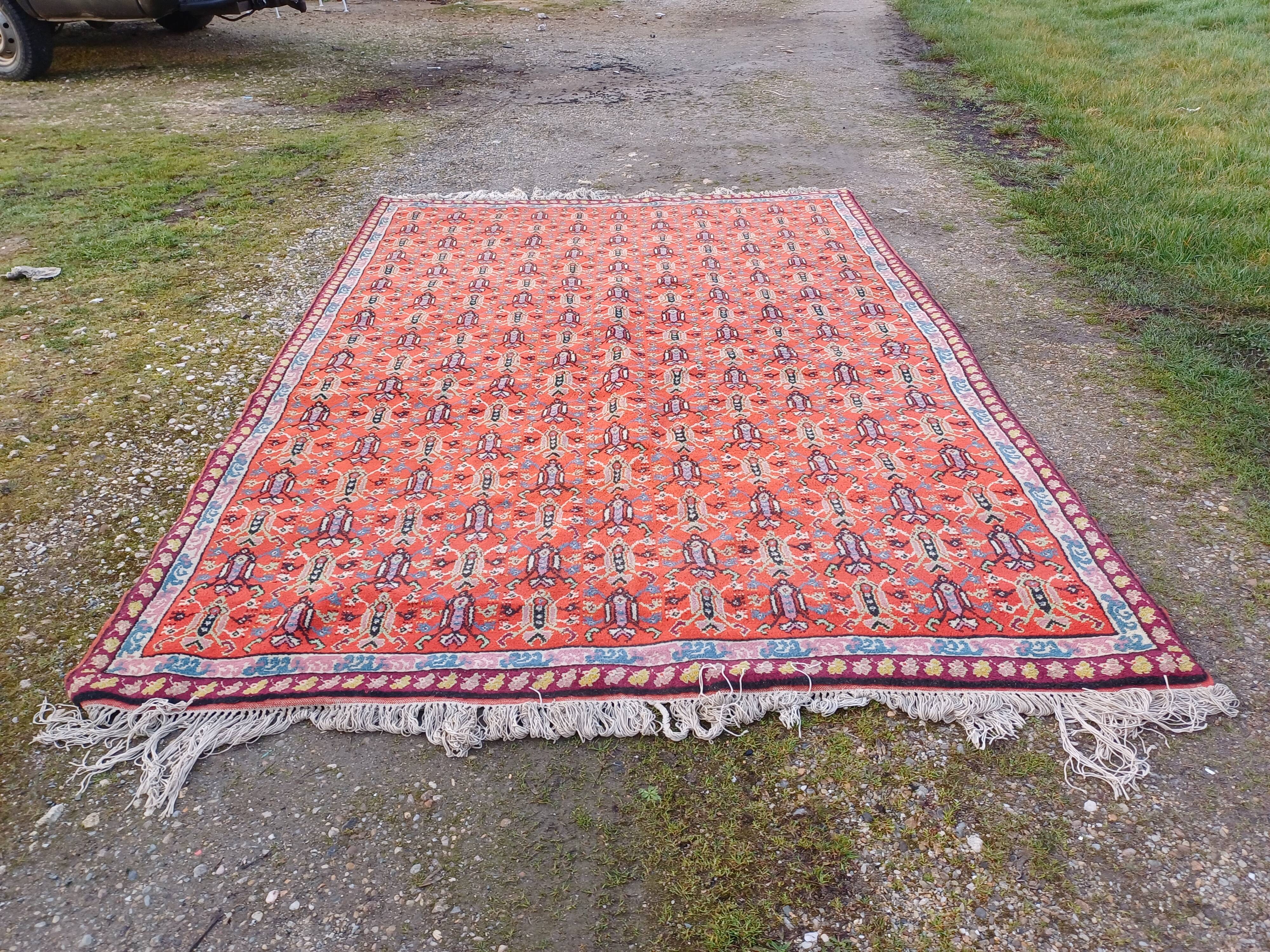 Moroccan hand-knotted wool rug