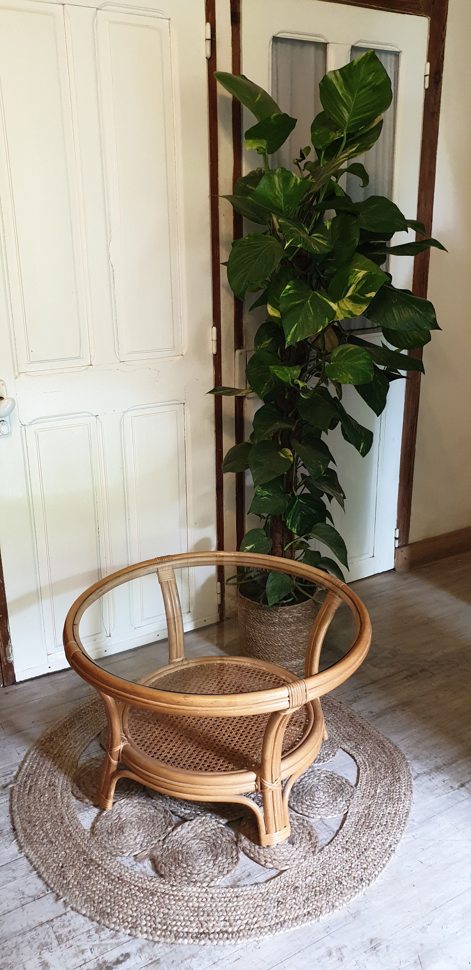 Glass and canning coffee table