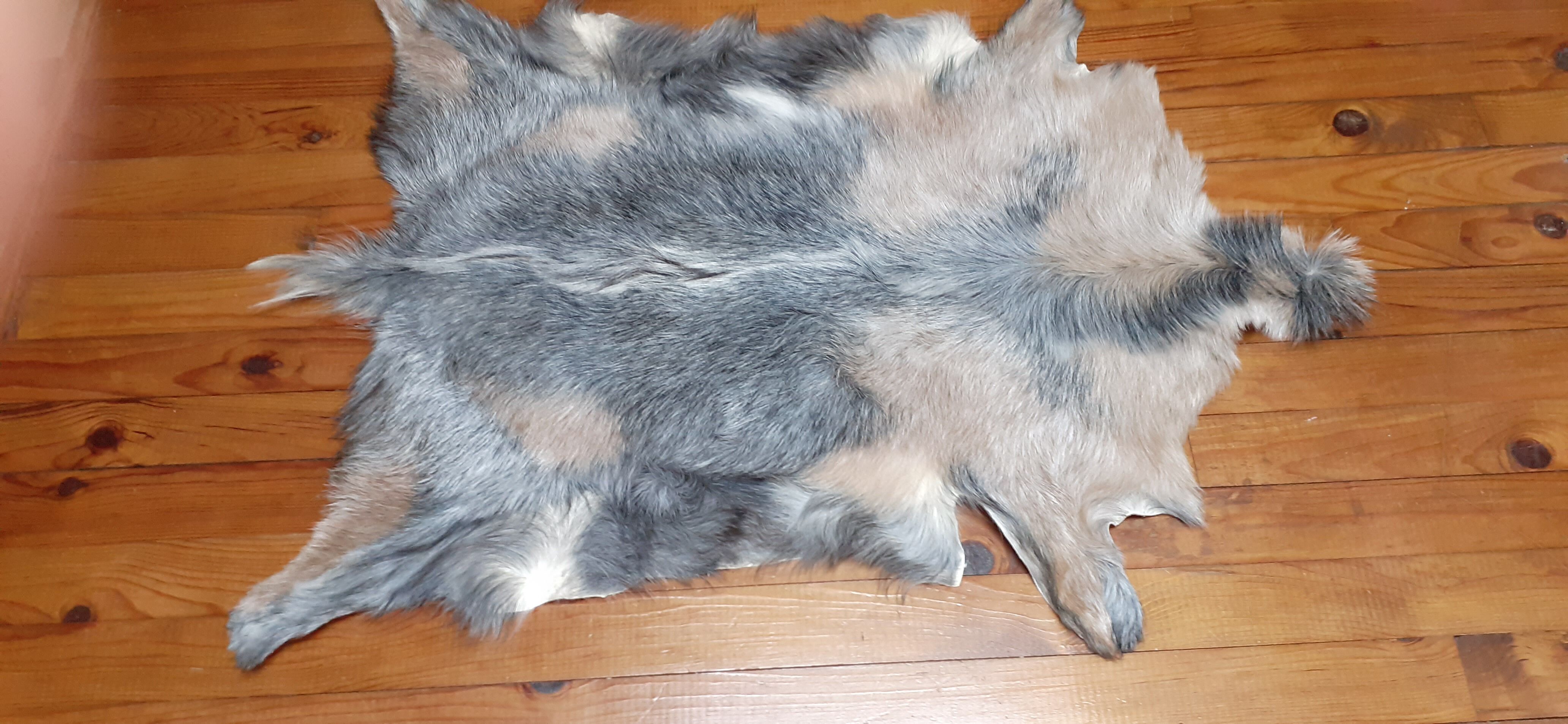 New goat skin