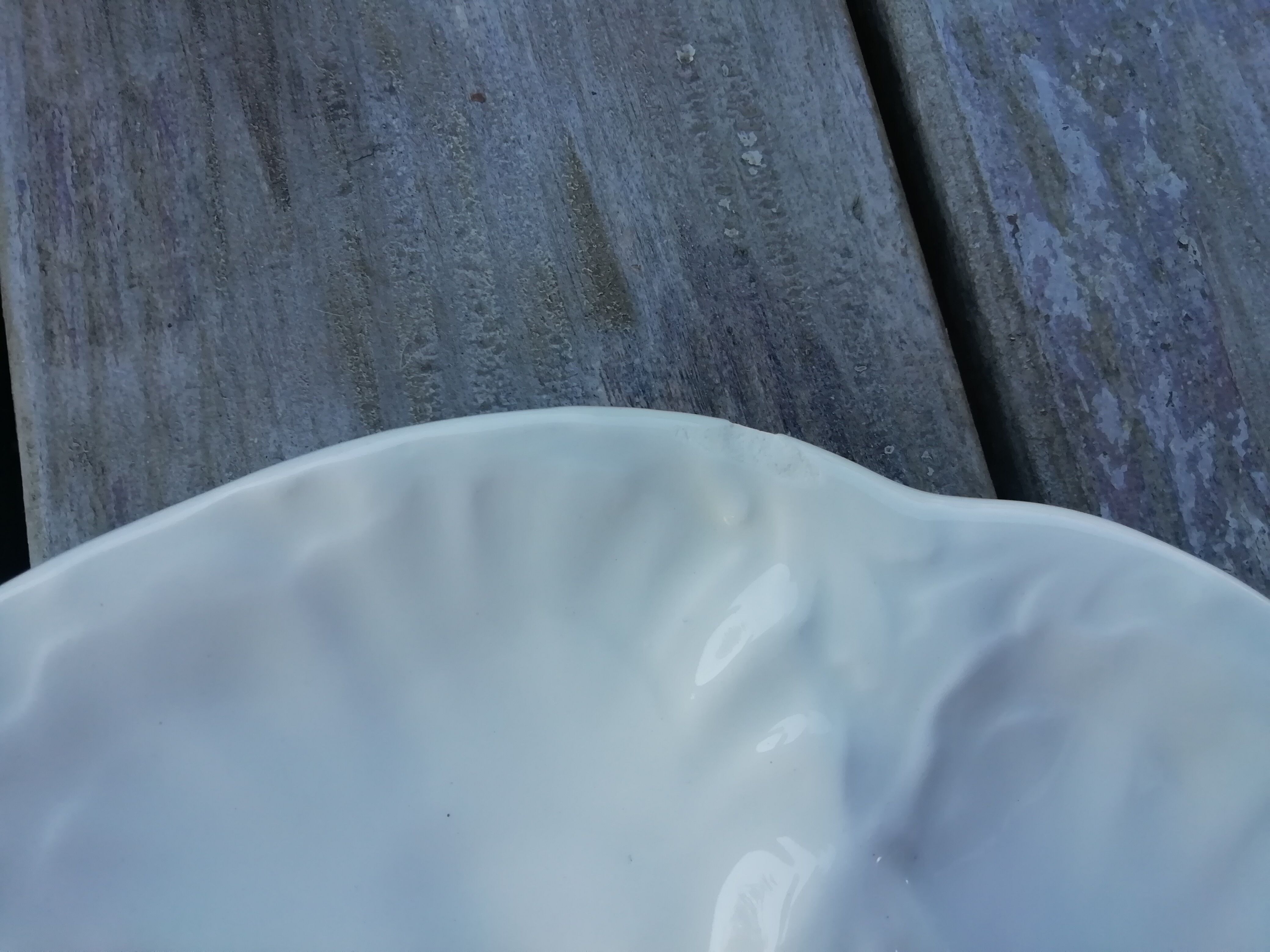 Pair of Gien oyster plates