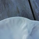 Pair of Gien oyster plates