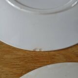 4 Terre de fer flat plates