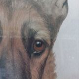 Léon DANCHIN (1887-1938) : GERMAN SHEPHERD Numbered and Signed Lithograph