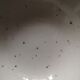 English speckled ceramic dessert set (main course and ramekins) Johnson Brothers - 1970s