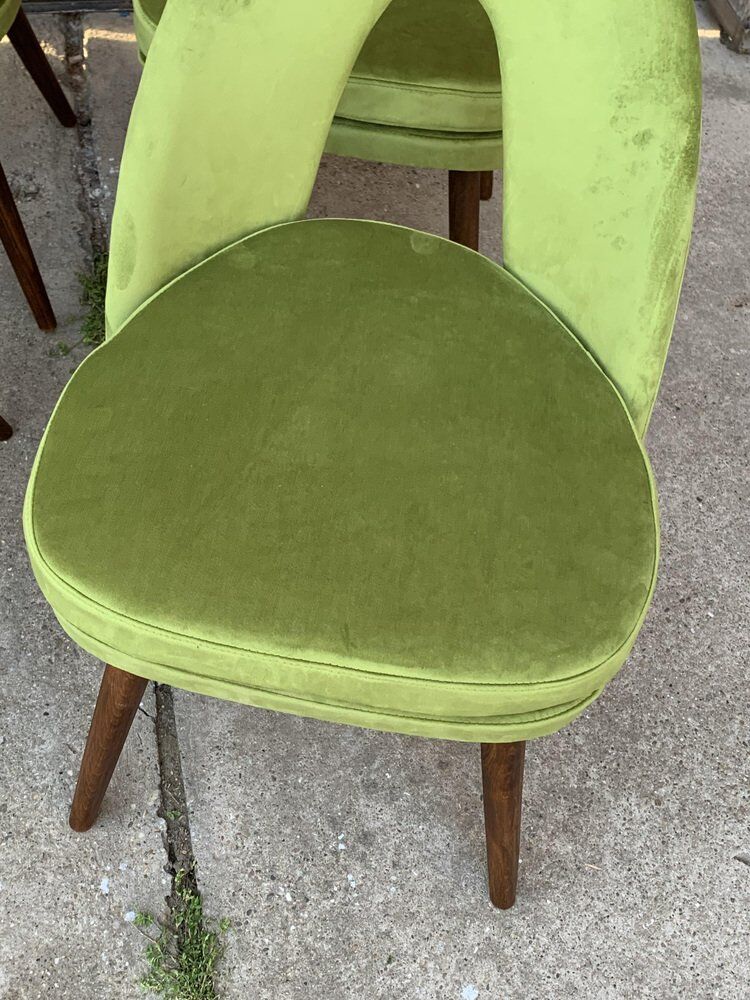 Dining chairs by Antonín Šuman for Tatra Nábytok, 1960