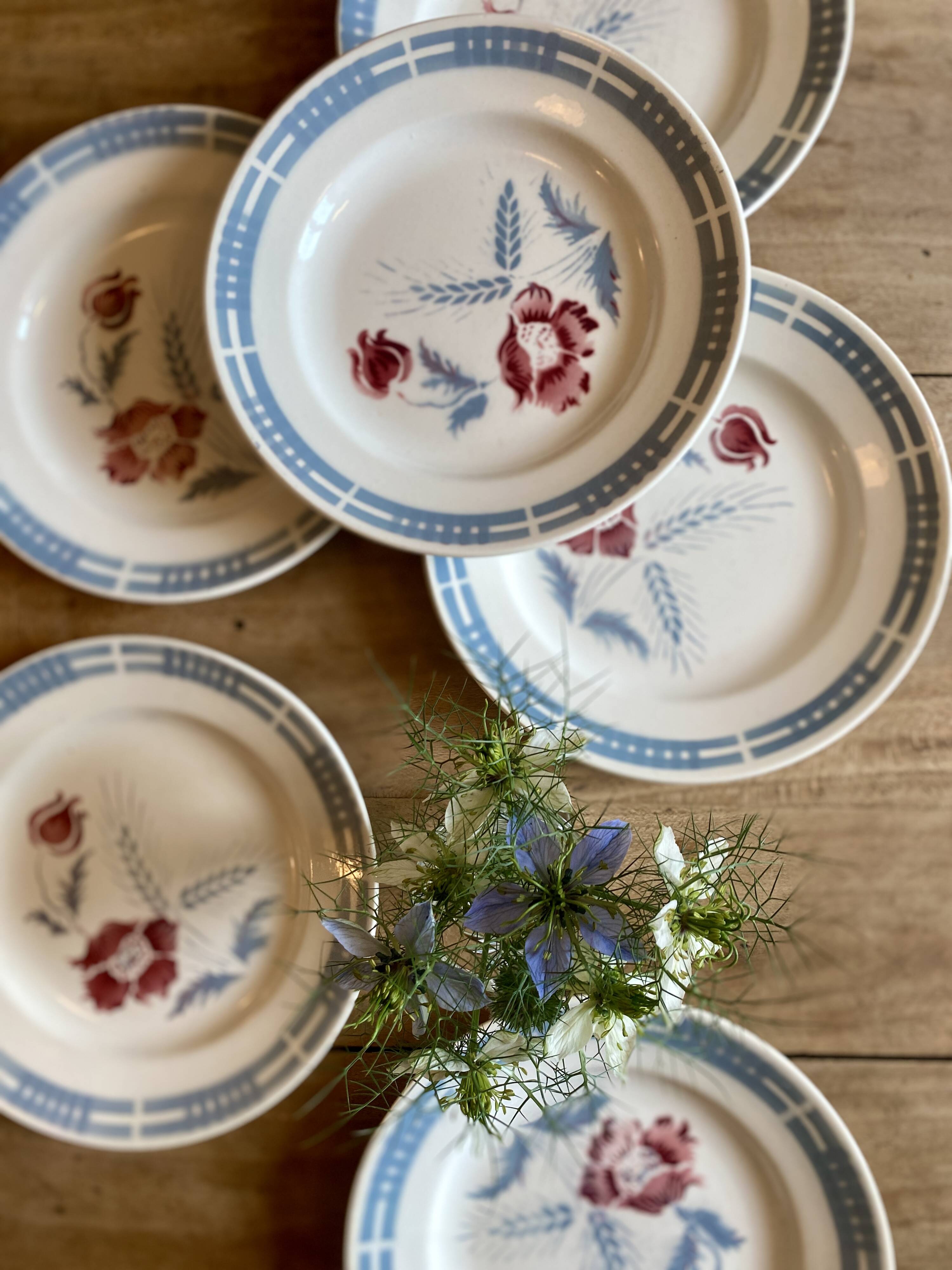 Lot de 6 assiettes plates vintages modèle Carole de la manufacture Digoin Sarreguemines