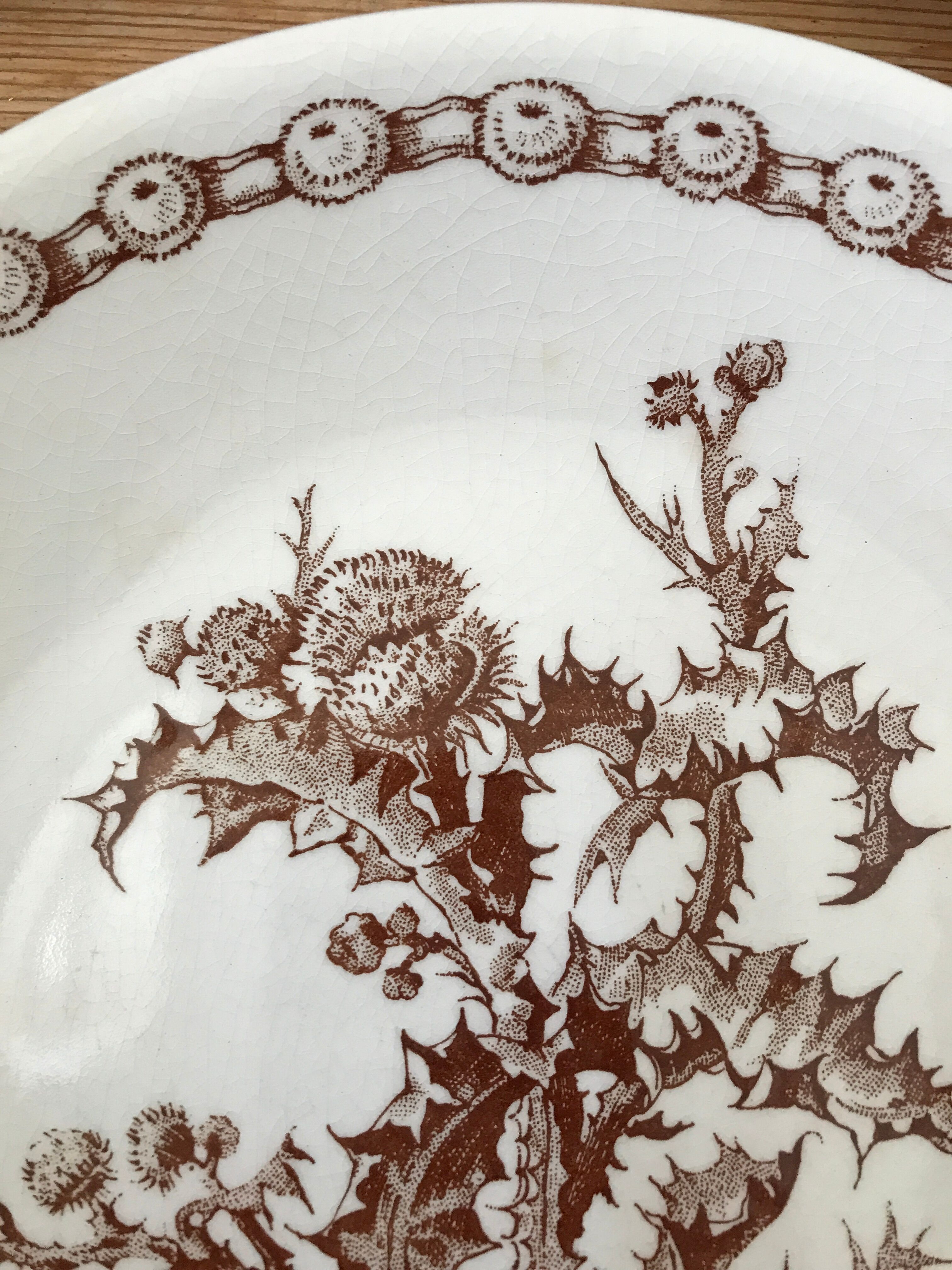 Series of 6 flat plates old model "Thistles" Gien