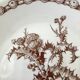 Series of 6 flat plates old model "Thistles" Gien