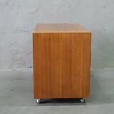 Mid -Century Teak Mobile Two-Sided Cabinet from WR, 1970s.