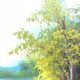 Peinture sur bois