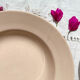6 assiettes creuses rose digoin sarreguemines