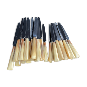 Box of 24 knives (1) - Art Deco - Stainless steel blade and horn handle