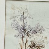 Still life in felt pen signed