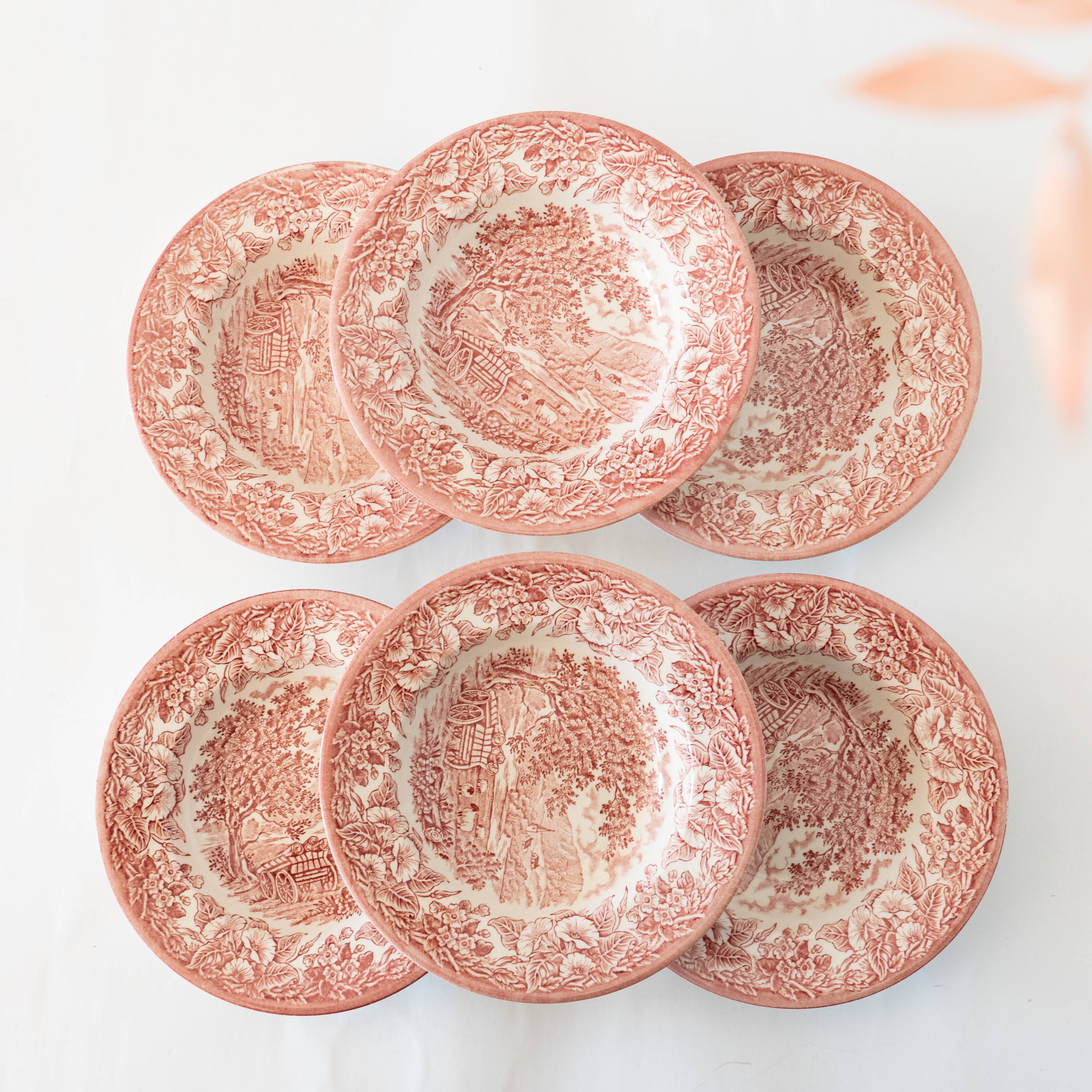 6 English Hollow Plates Eit Ltd England Vintage