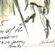 Drawing by Karl Lagerfeld for Chanel