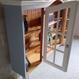 Library display case