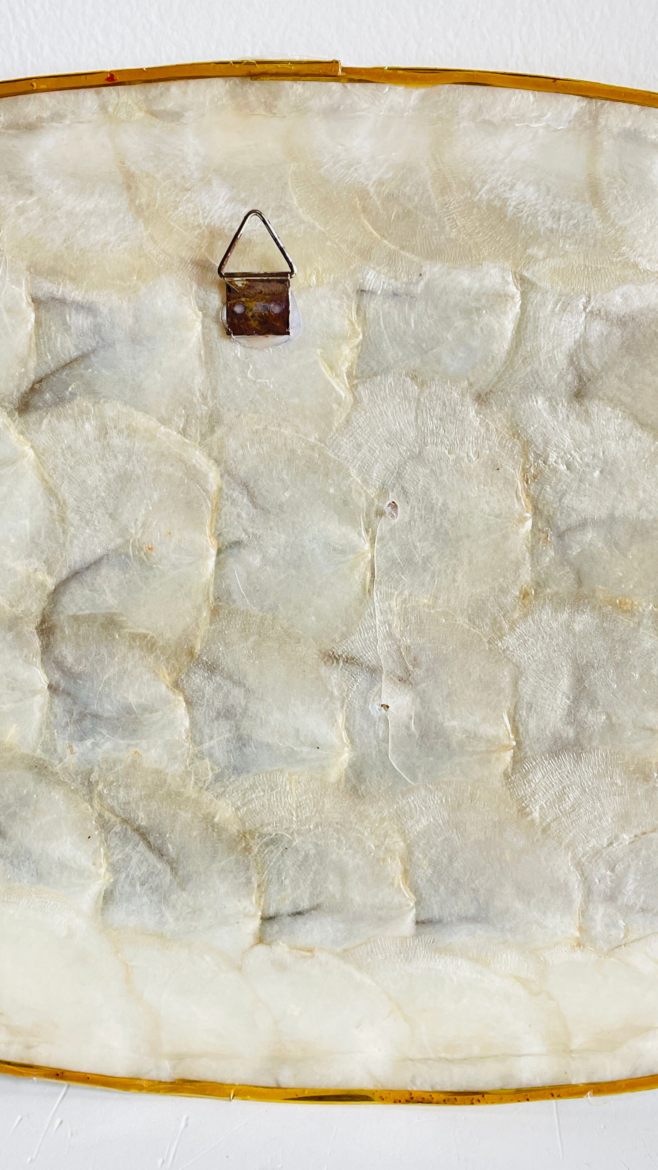 Decorative Shells Plateau Vintage