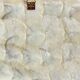 Decorative Shells Plateau Vintage