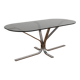 Oval coffee table smoked glass