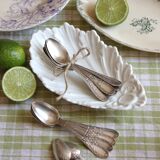 Box of 12 small spoons in vintage silver metal